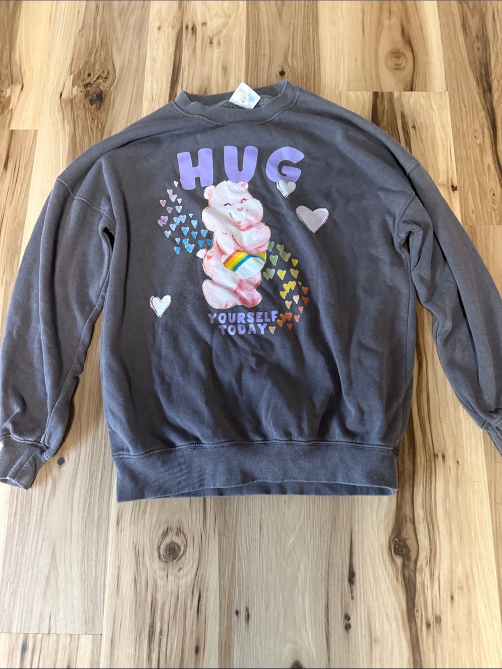 Care Bears Gray Sweatshirt with Pink Bear and Rainbow Heart Graphic